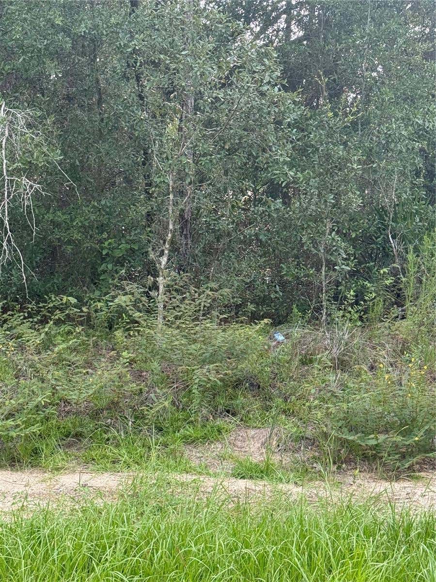 Photo of 10860 N Mataro Avenue, Citrus Springs, FL 34434 (MLS # S5155977)