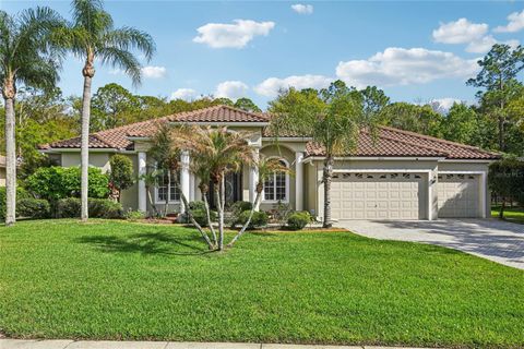 4931 TURTLE CREEK TRAIL OLDSMAR FL 34677