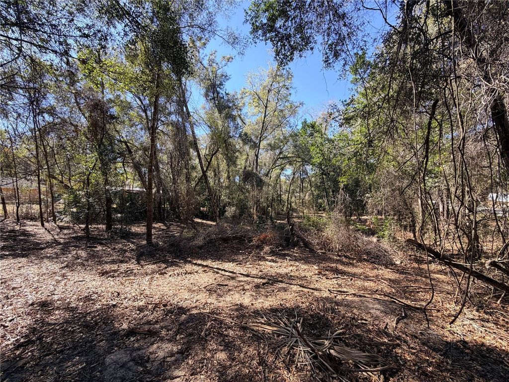 Photo of 3910 E Scotty Street, Inverness, FL 34453 (MLS # OM718408)