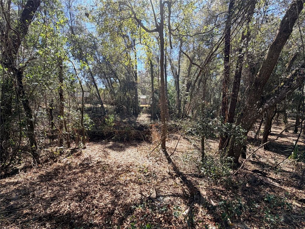 Photo of 3910 E Scotty Street, Inverness, FL 34453 (MLS # OM718408)