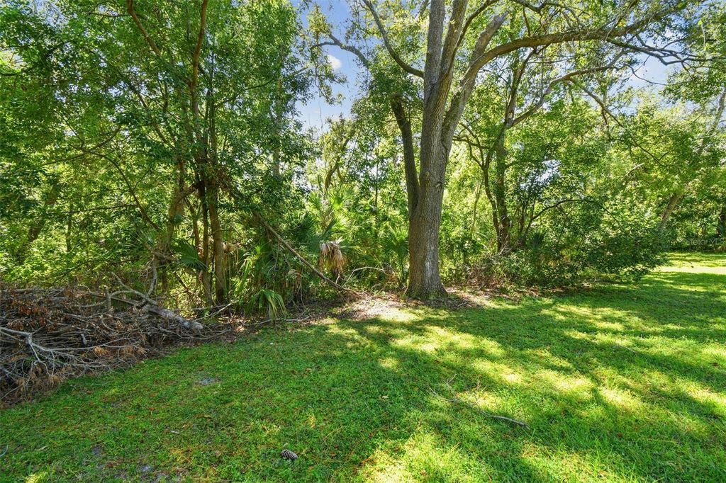 Photo of 5026 Muellers Lane, Safety Harbor, FL 34695 (MLS # TB8438043)
