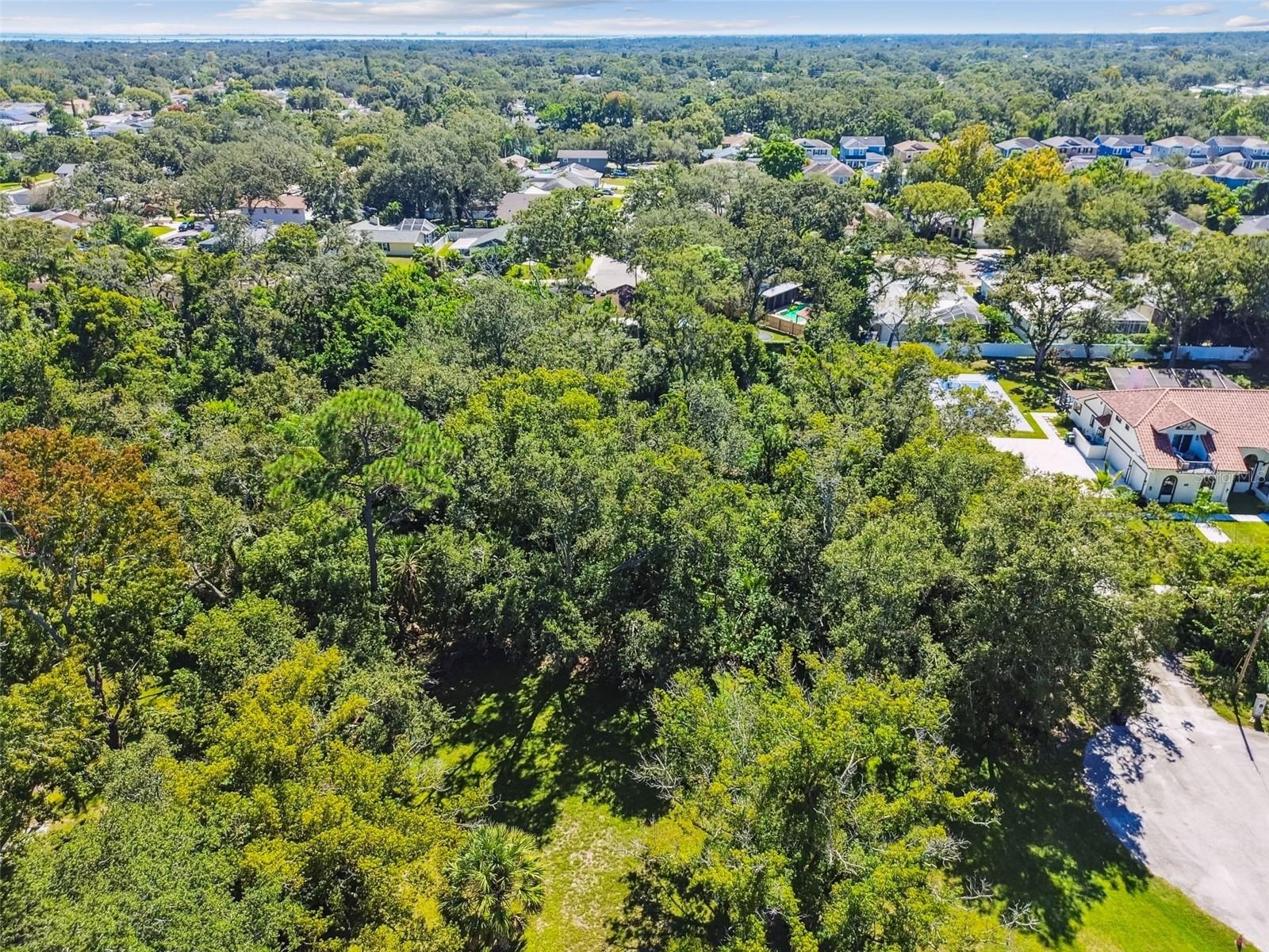 BISHOP CREEK ESTATES - Land