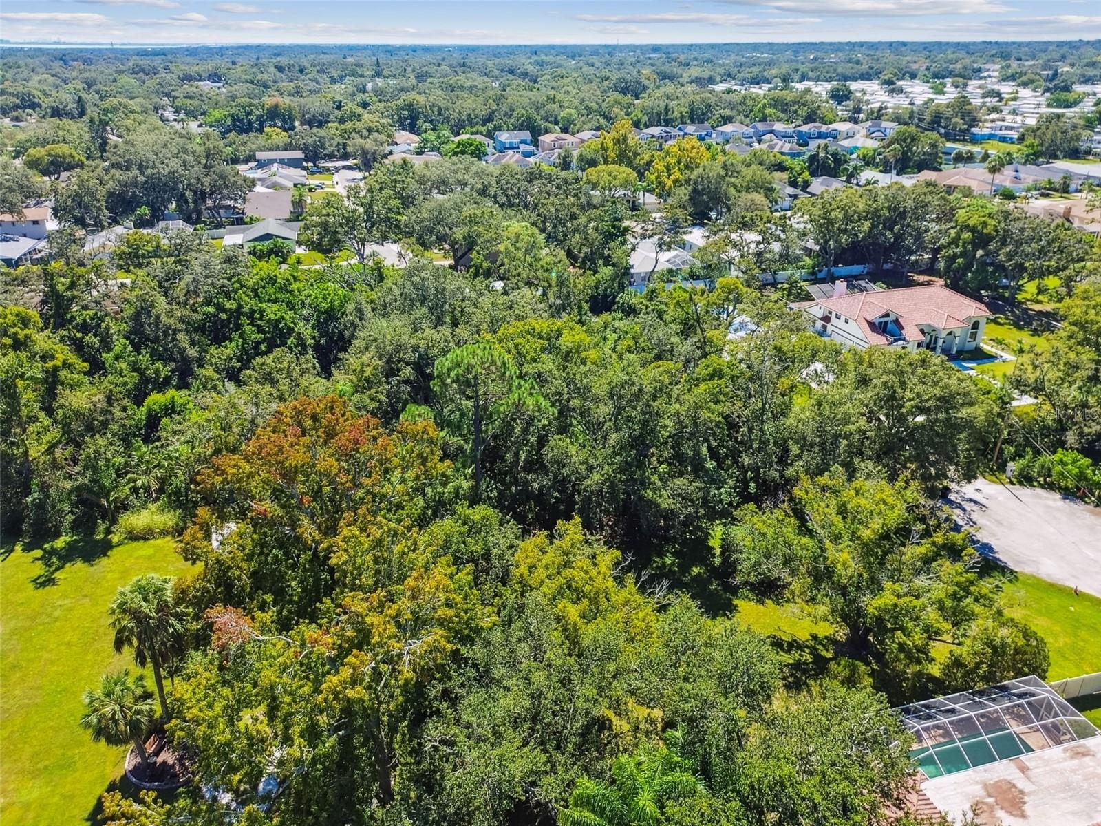 BISHOP CREEK ESTATES - Land