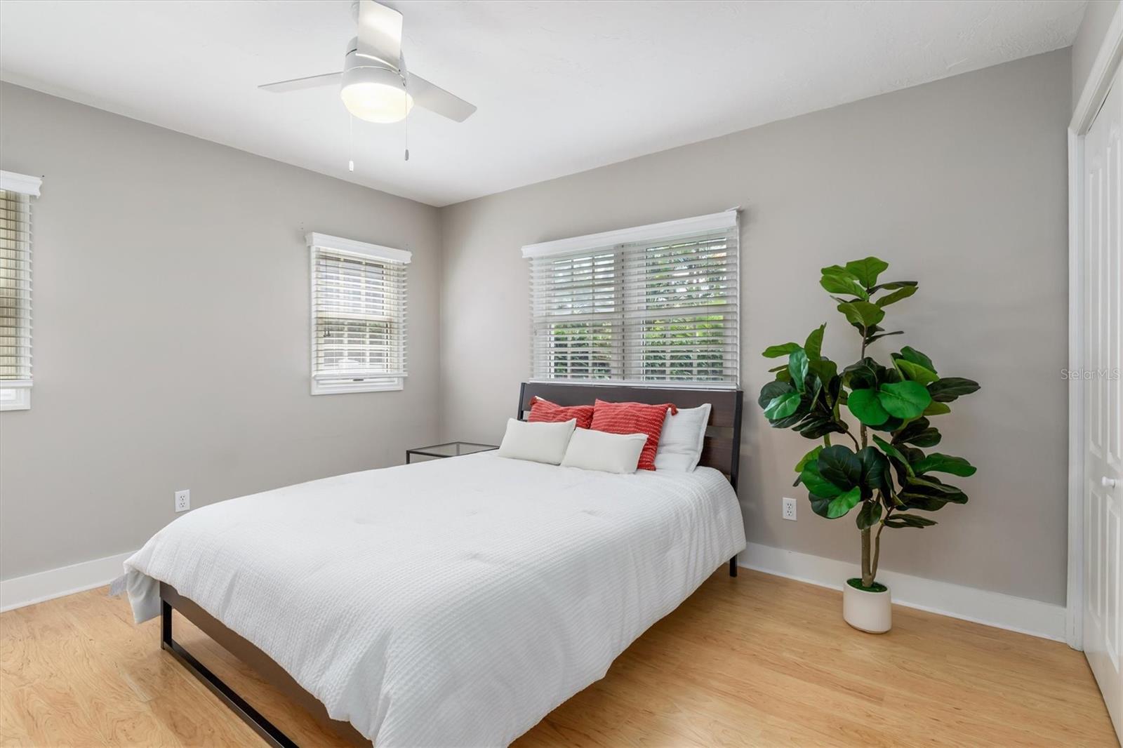 SEMINOLE HEIGHTS - Residential