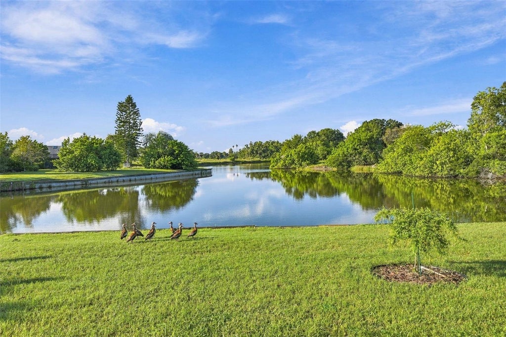 Photo of 211 Stoneham Drive, Sun City Center, FL 33573 (MLS # TB8550942)
