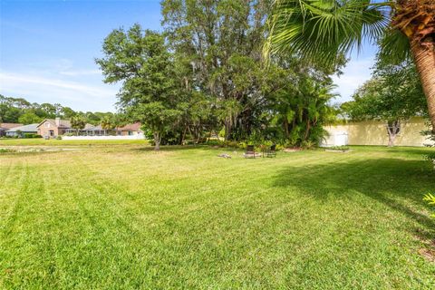 A home in LITHIA