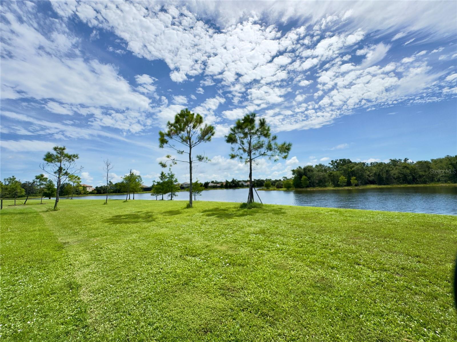 GRAND PALM PH 1A - Residential Lease