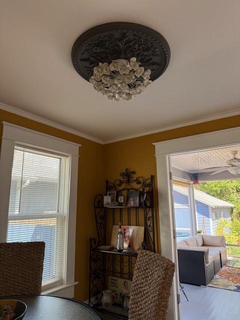 NORTH PARK ANNEX - Residential