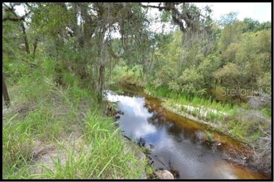 World-Class Hunting Preserve, 370 +/- Acres on Charlie Creek. This recreational property is a hunter’s dream! Charlie Creek Ranch is comprised of 370+/- Acres, near Zolfo Springs, a rural community located in Southern Hardee County, Florida. Never before has such a high-fence exotic and free-range sportsman’s dream-property, become available. Recreational pursuits are endless in this beautiful and unique native Florida Land with outstanding qualities.  Numerous hunting blinds are nestled amongst the woods and open savannahs with large watering holes, and nutrition stations. An amazing mix of vibrant and healthy ecosystems and habitats teaming with both imported Exotic game including Blackbuck Antelope, Red Stag, Pere David and Axis Deer, Rams, Bison, Water buffalo and native Florida wildlife like Whitetail Deer, Turkey, Wild Hogs, Bobwhite Quail and more. Charlie Creek is an ancient natural creek which meanders along the northern boundary of Charlie Creek Ranch. This picturesque waterway provides opportunities to explore and play. Fishing, canoeing, fossil hunting and more. The creek is major part of the ecosystem, it is the life-force that is the heart and soul of the Charlie Creek Ranch. Pine Flat Woods, Oak Hammocks and Savannahs.  The property has a predominance of dense Oak Hammocks, Cypress Strands, Native Pine Flatwoods and uplands comprised of grassy open Savannahs. This variety of ecosystems supports an abundance of game.

Lodge, Cabins and Camping: The Lodge is located on high and dry land, in a private setting with gate access. The Lodge is well appointed with a full kitchen and dining facilities. Four (4) luxurious Cabins have overnight accommodations for up to 20 guests with air conditioning, kitchenettes, full baths and large screen TVs. “Camp David” is an isolated area for RV’s and primitive camping. Enjoy starry evenings sitting by the fire ring, or on the porches enjoying the solitude and peace and quiet. Unlimited opportunities for rifle and bow hunting, fishing, four-wheeling, canoeing, target shooting and clays. More Features include game cleaning station with walk-in cooler, huge fire ring, 8-foot-high game fencing with 16’ remote gates. A truly beautiful paradise. Excellent 40x60 Metal building with parking and storage facilities. Farm equipment and tools available.