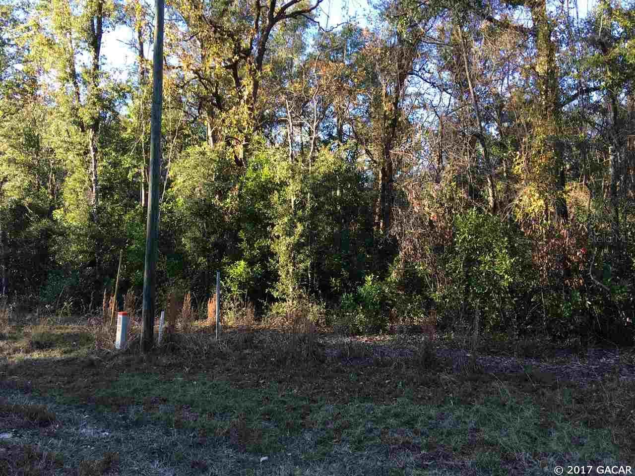 Beautiful wooded residential lot close to rivers and springs. Build your home here and enjoy coming home to a quiet neighborhood. Ft white is a small quiet community for relaxing living. This lot has a well and power pole on property. Open Builder.