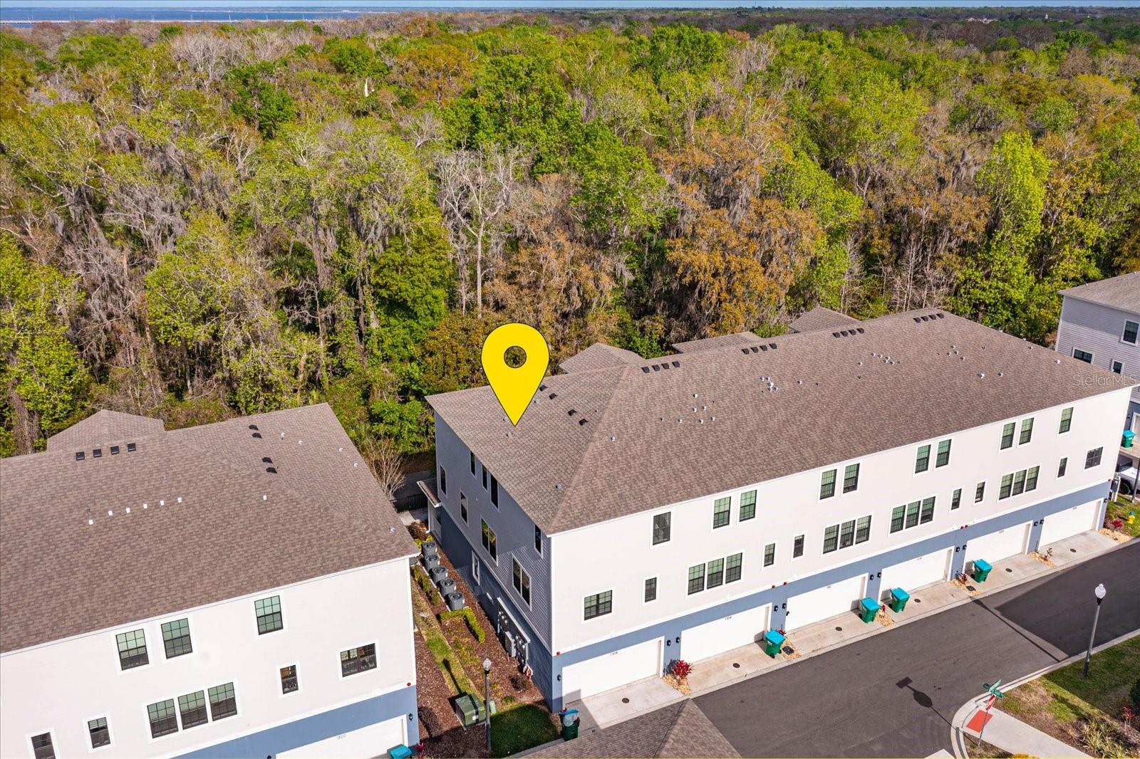 1304 SPOTTED SANDPIPER LOOP