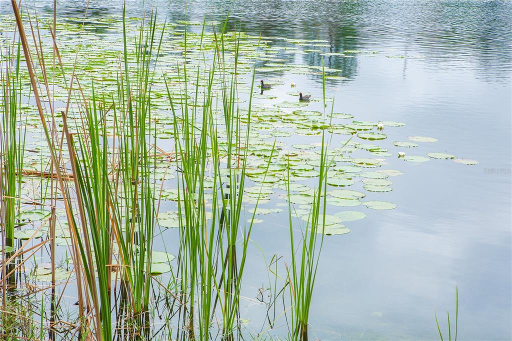 WEATHERBY SUB - Residential