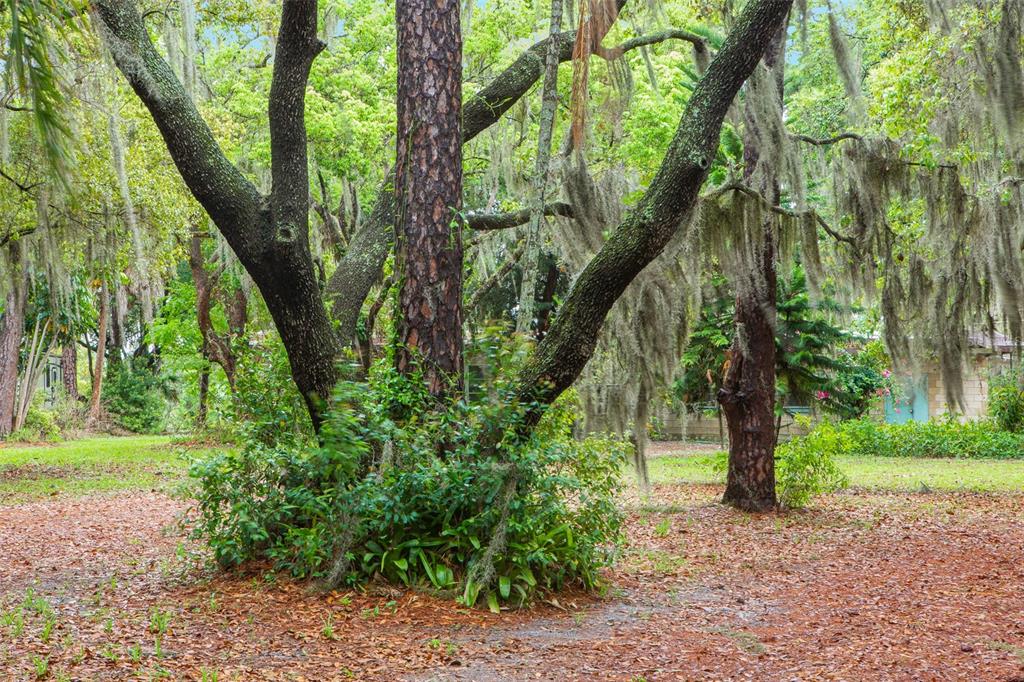 WEATHERBY SUB - Residential