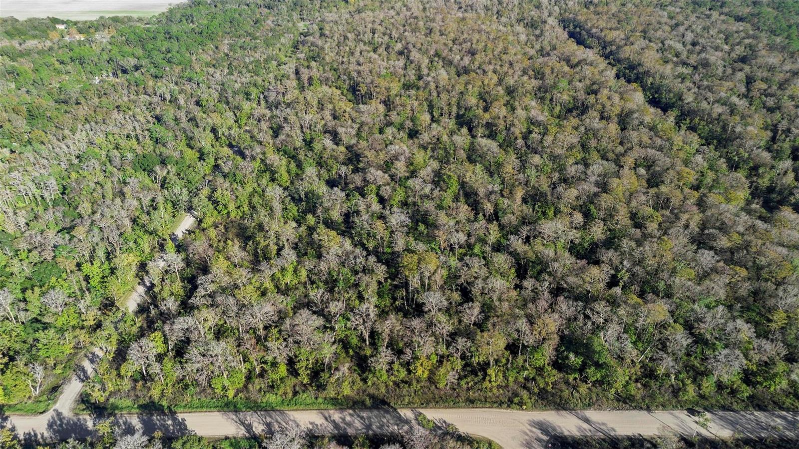 DAYTONA NORTH - Land