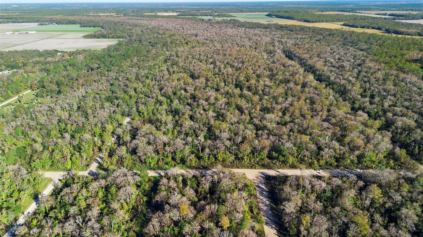 DAYTONA NORTH - Land