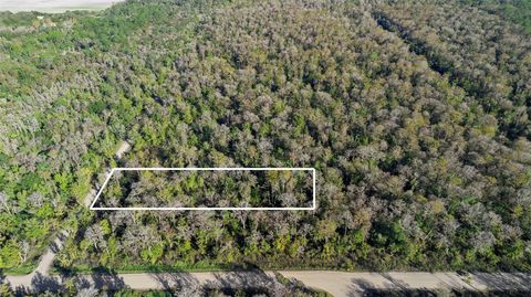 3911 EVERGREEN AVENUE BUNNELL FL 32110
