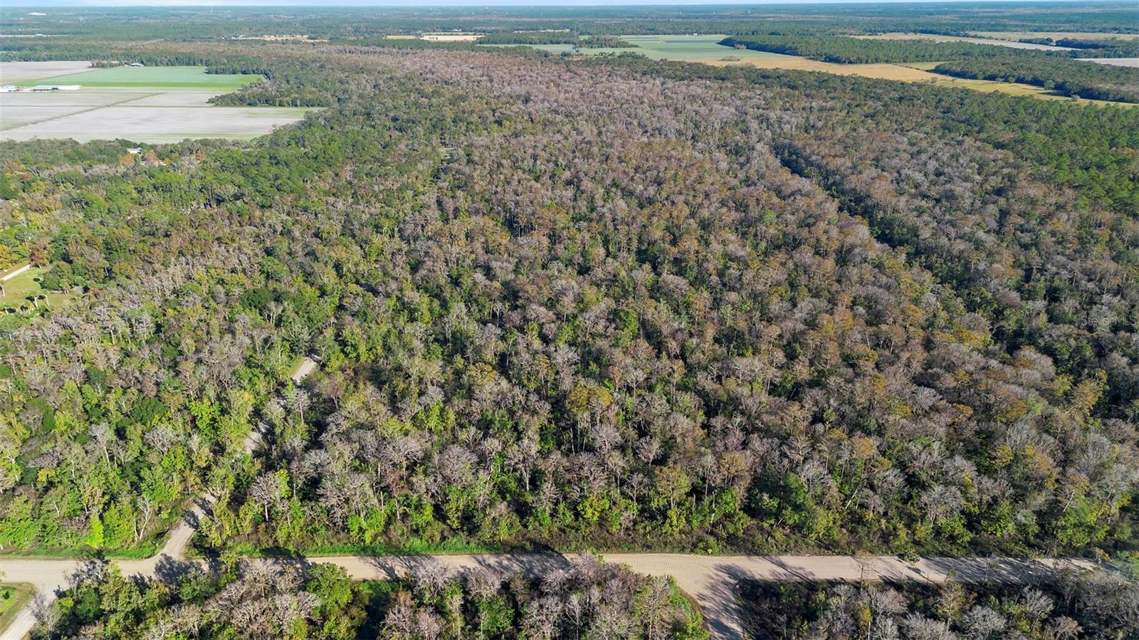 DAYTONA NORTH - Land