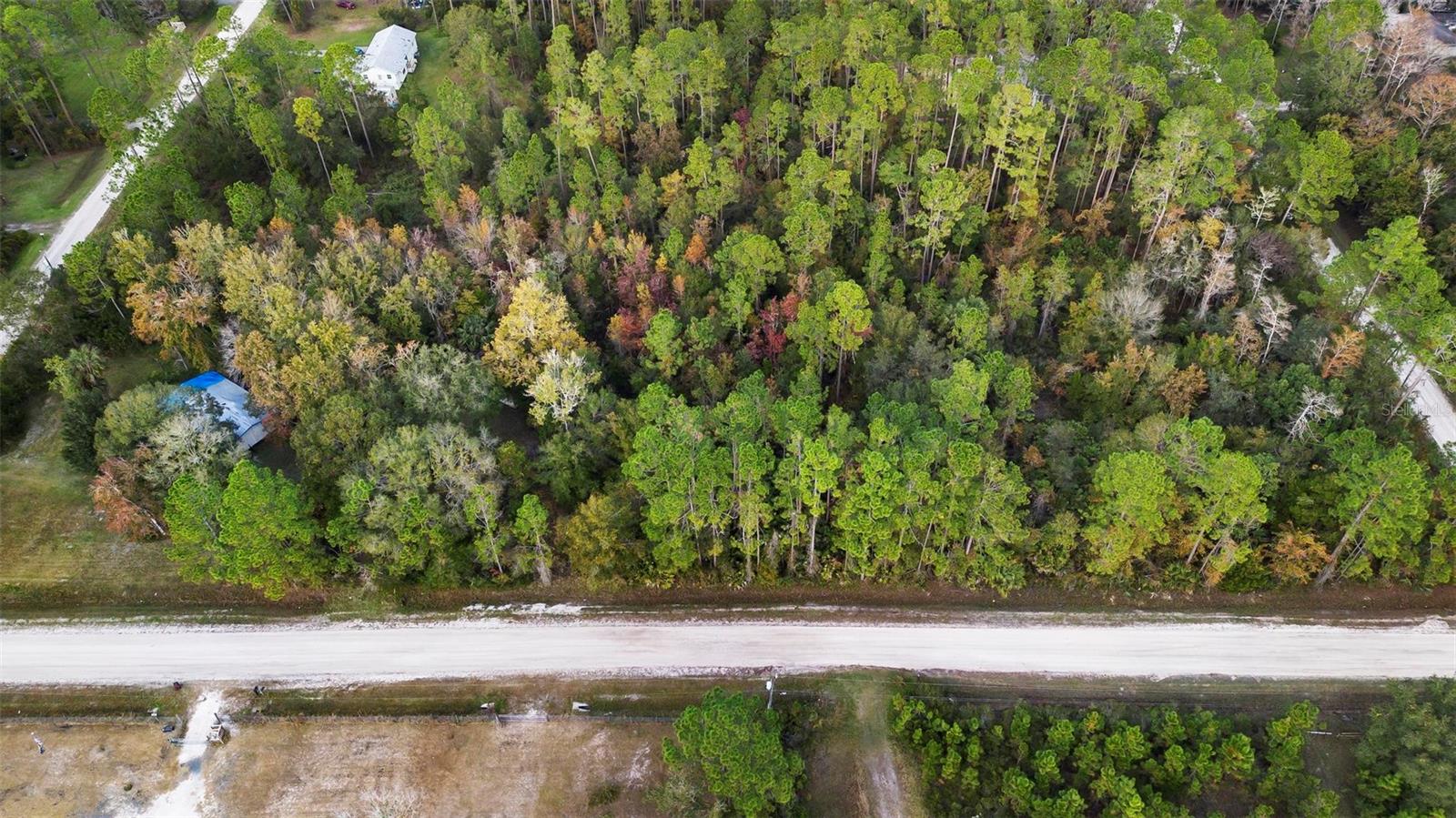 DAYTONA NORTH - Land