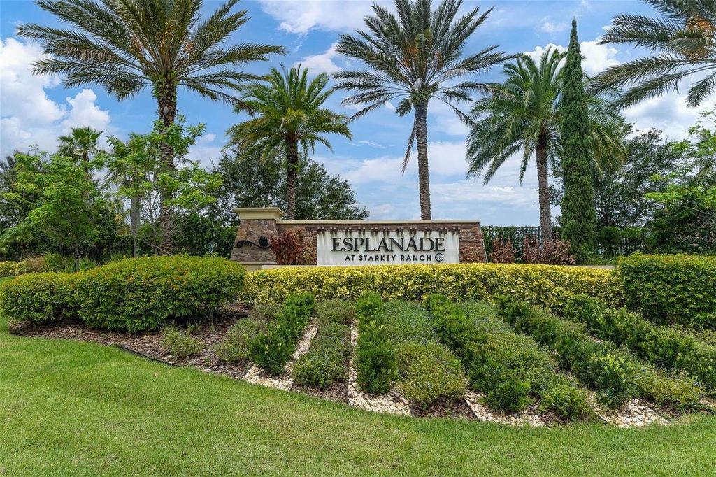 Photo of 3239 Forsythia Drive, Odessa, FL 33556 (MLS # TB8438442)