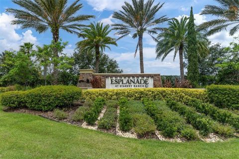 Photo of 3239 Forsythia Drive, Odessa, FL 33556 (MLS # TB8438442)