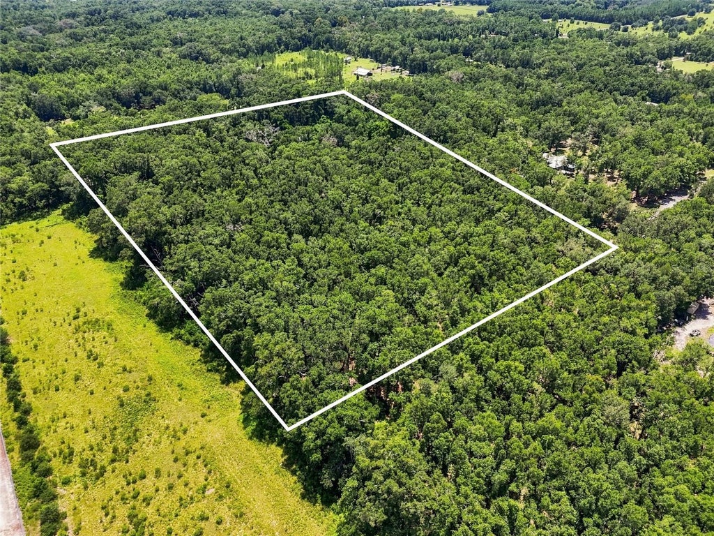 Photo of 459 SW Bigfoot Court, Fort White, FL 32038 (MLS # GC542578)