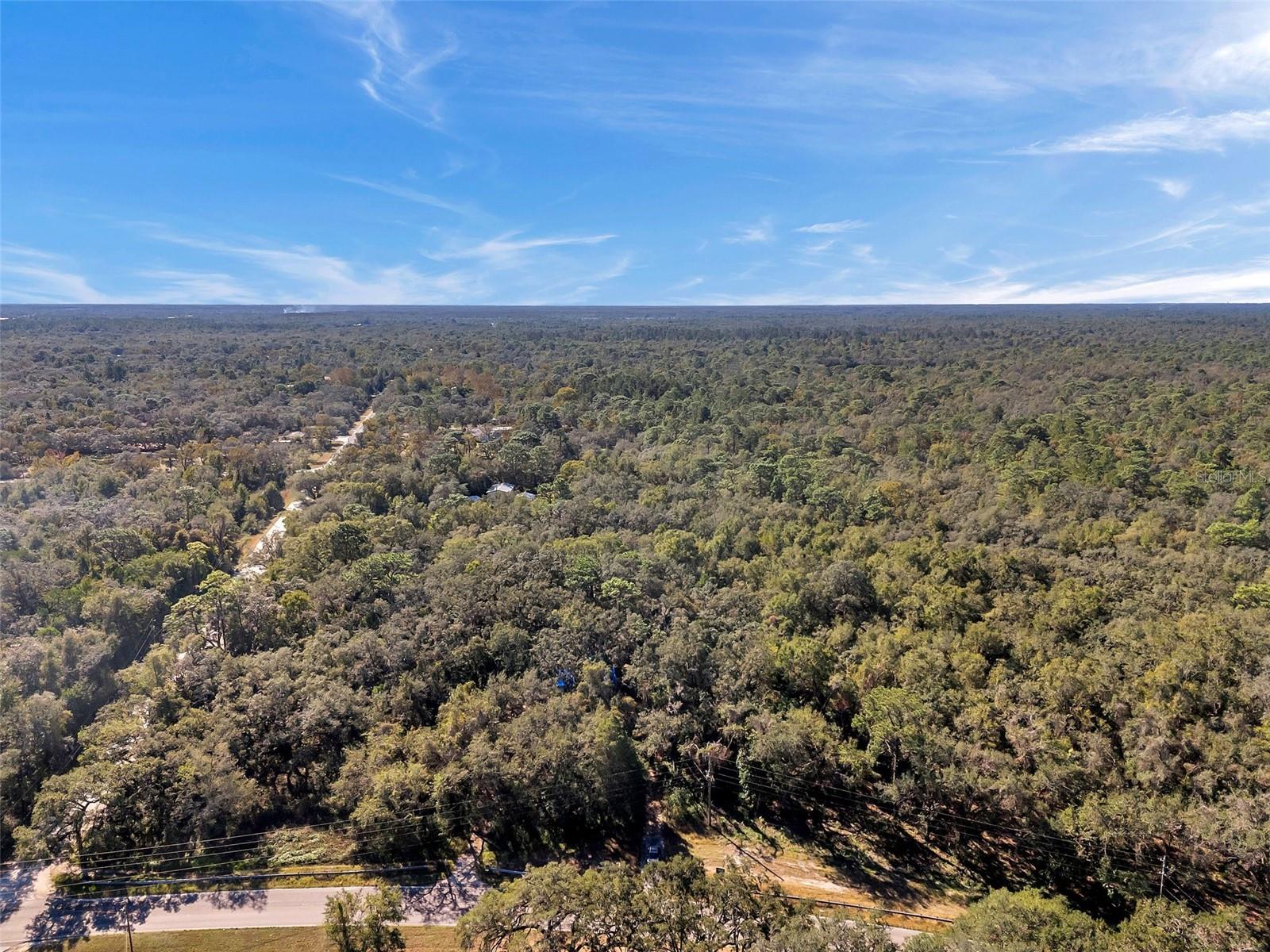Check out this 3.5 acre rare opportunity in today's market! Zoned AR (Agricultural-Residential), it's a dream for nature lovers and animal lovers alike. Bring your animals or simply enjoy the spaciousness and freedom this acreage provides. Avoid HOA rules and restrictions as this parcel is not in an HOA or CDD community. Owner is a custom home builder and has a plethora of home plans available. Property is located just a few minutes from the Suncoast Parkway & Trails. Enjoy country living while still being nearby schools, restaurants, medical facilities, shopping, and more. Don't miss out on this opportunity to own a piece of Florida paradise that's both secluded and centrally located. Call today for more information!