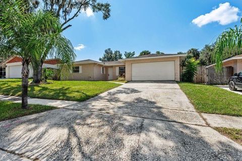 A home in BRANDON