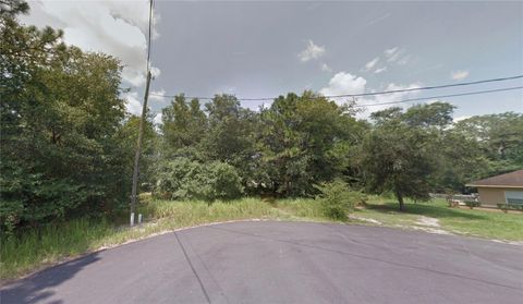 Tiny photo for Spring Loop Drive, Ocala, FL 34472 (MLS # O6369787)