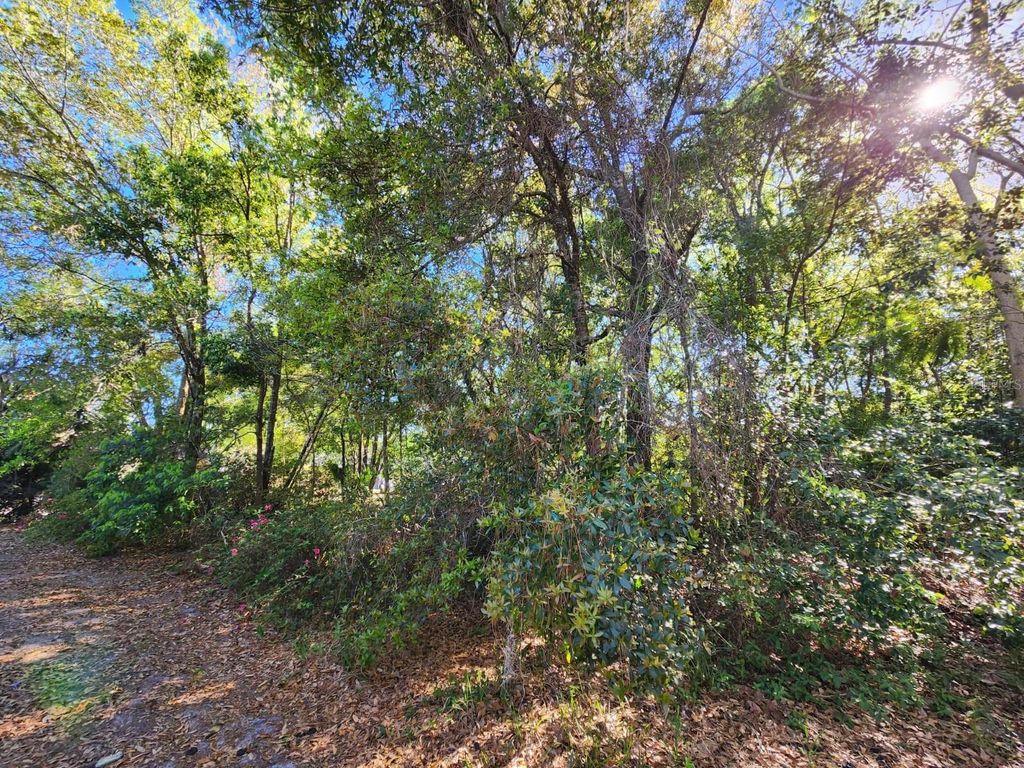 Photo of N Triplet Lake Drive, Casselberry, FL 32707 (MLS # O6318988)