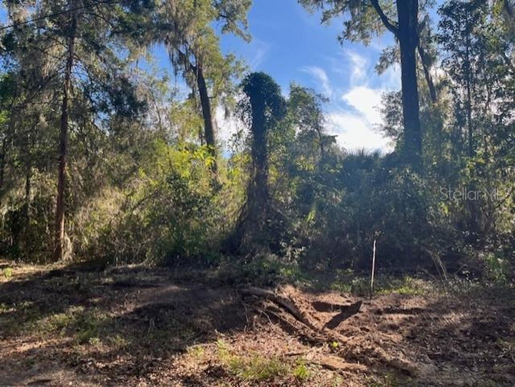 Photo of Tbd NW 160th Street, Reddick, FL 32686 (MLS # OM715072)