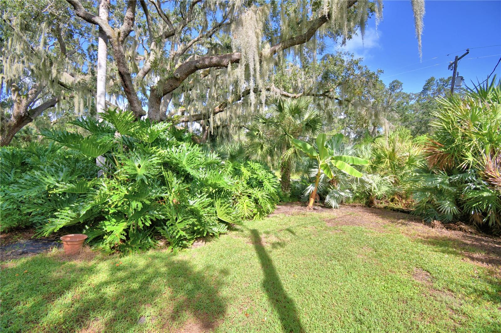 HALL ESTATE - Residential