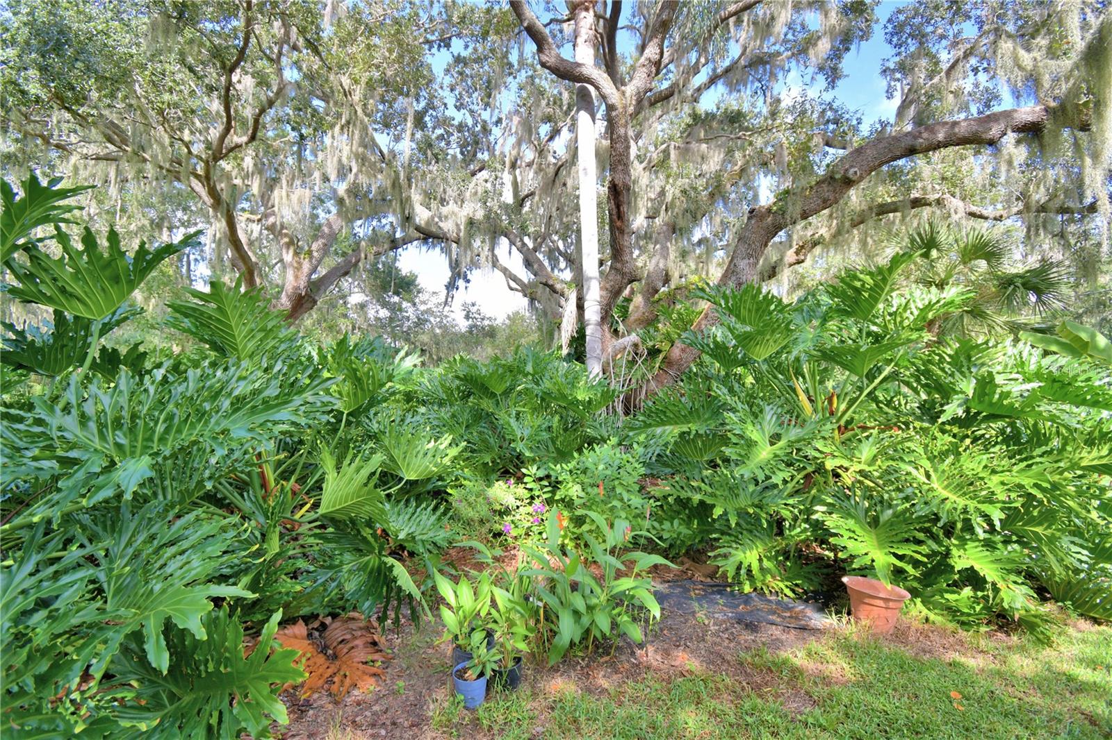 HALL ESTATE - Residential