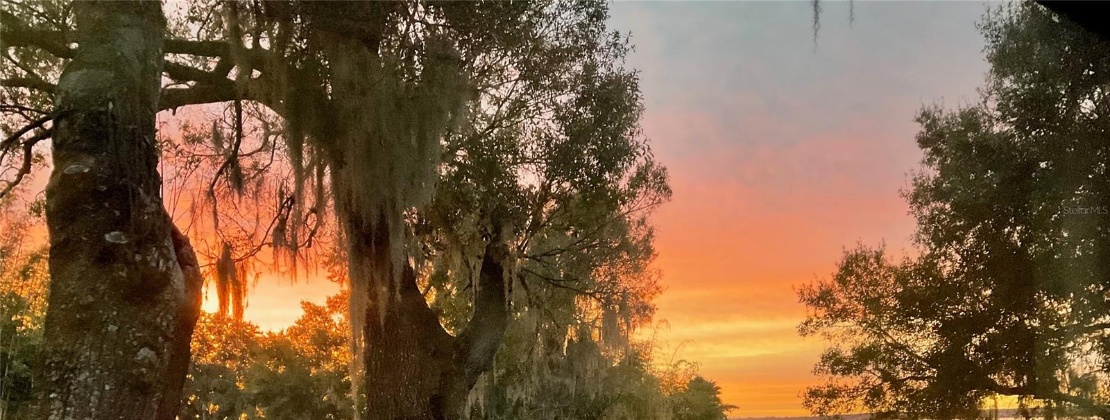 HALL ESTATE - Residential