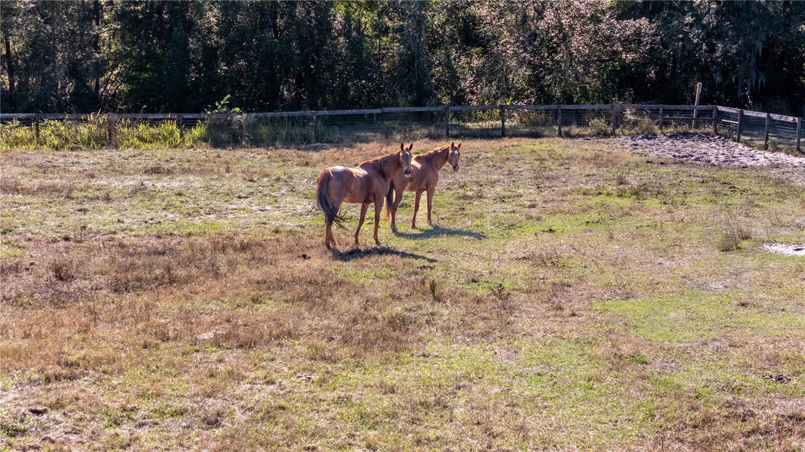 KEYSTONE PARK COLONY SUB - Land