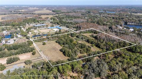 Photo of 11560 Tarpon Springs Rd, Odessa, FL 33556 (MLS # TB8458633)