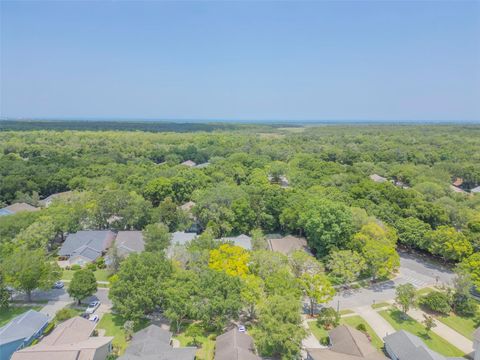 A home in ORMOND BEACH