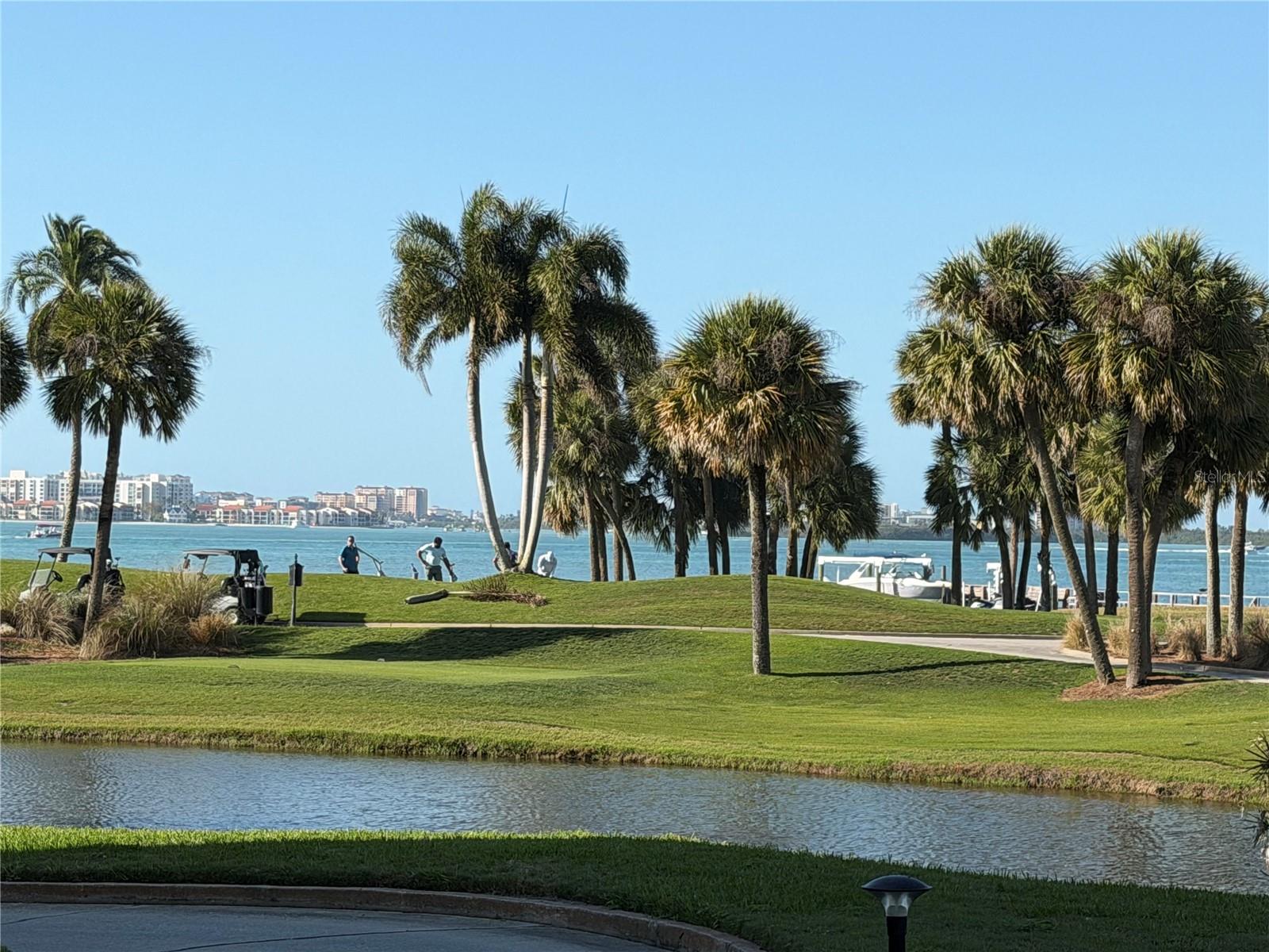 BELLEVIEW BILTMORE VILLAS BAYGREEN - Residential