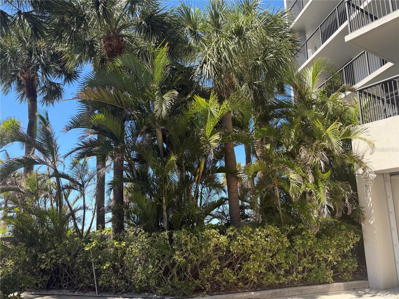 BELLEVIEW BILTMORE VILLAS BAYGREEN - Residential