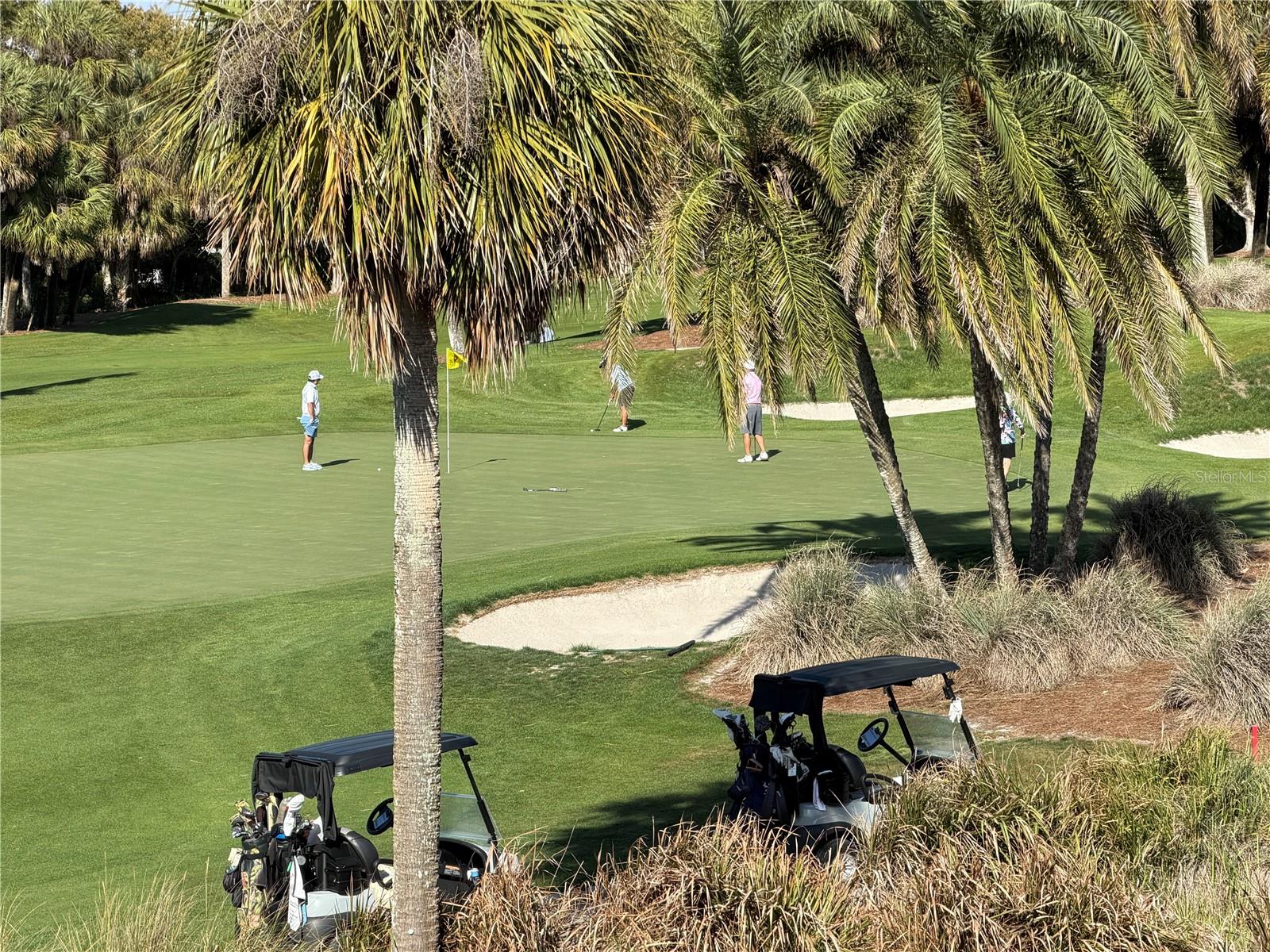 BELLEVIEW BILTMORE VILLAS BAYGREEN - Residential