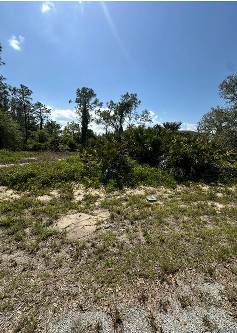 1327 ST AUGUSTINE DRIVE KISSIMMEE FL 34759