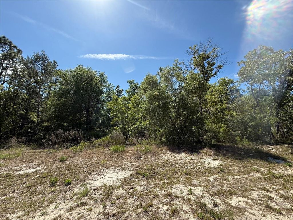 Photo of N/A SW 89th Terrace, Dunnellon, FL 34432 (MLS # O6301155)
