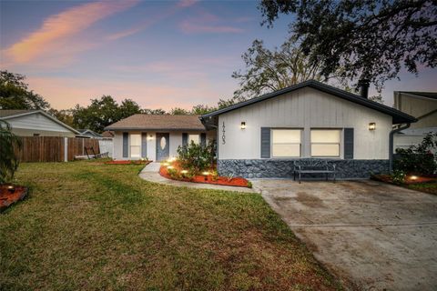 A home in LUTZ