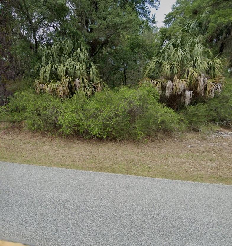 12069 W RIVERWOOD DRIVE