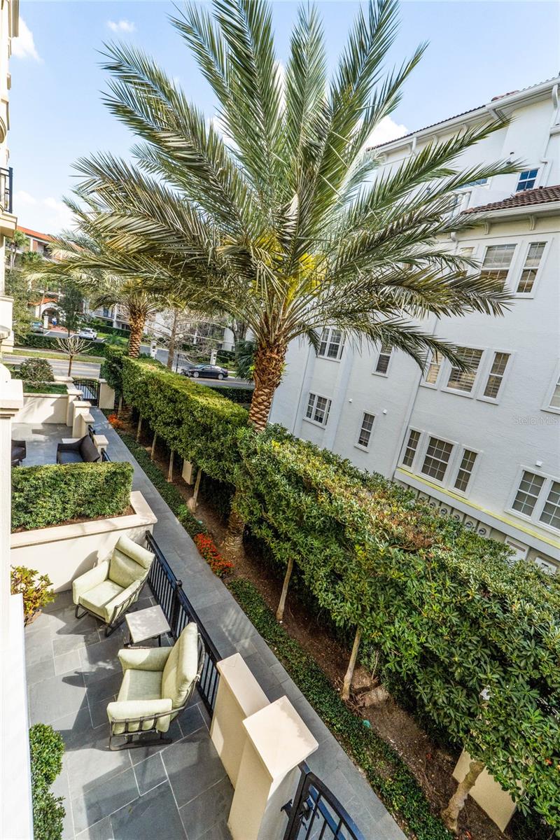 SOUTH INTERLACHEN PLACE - Residential