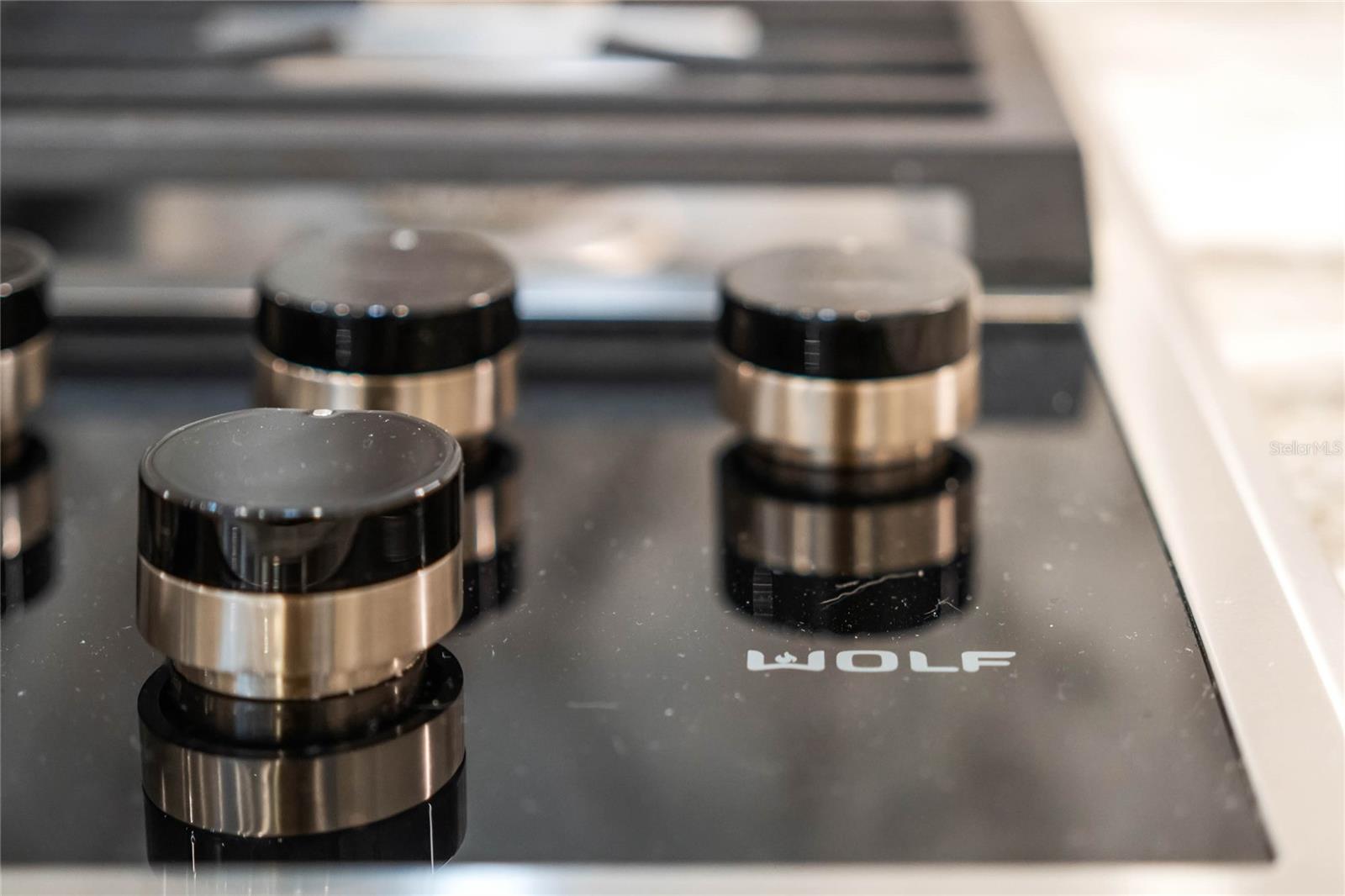 SOUTH INTERLACHEN PLACE - Residential