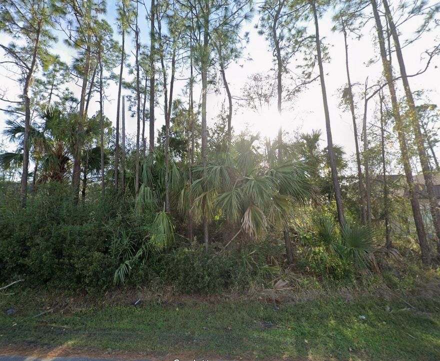 Fantastic opportunity to build in a growing area of Palm Coast. This .23-acre lot is fully buildable and zoned for duplexes, offering excellent potential for investment, rental income, or multigenerational living. Located in a well-established neighborhood with easy access to shopping, schools, and major roadways. A great lot with flexible options for your next project.