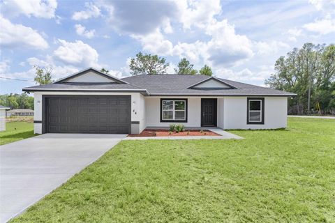Photo of 44 Malauka Drive, Ocklawaha, FL 32179 (MLS # G5111816)