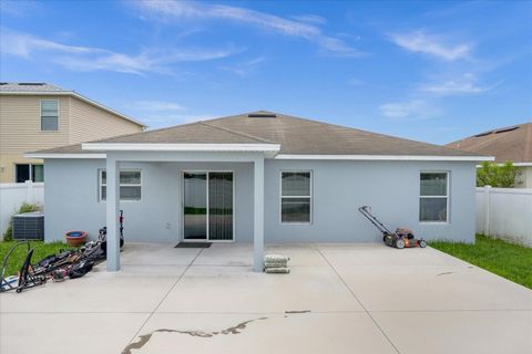 A home in MOUNT DORA