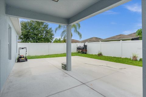 A home in MOUNT DORA