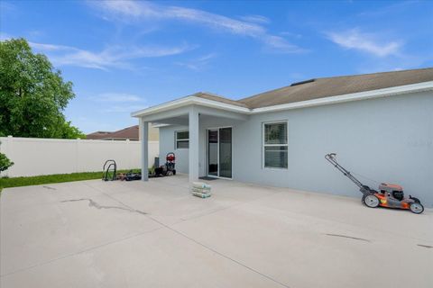 A home in MOUNT DORA